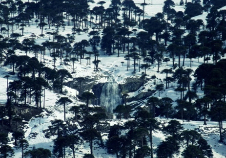 Cabaña Las Cascadas Caviahue invierno