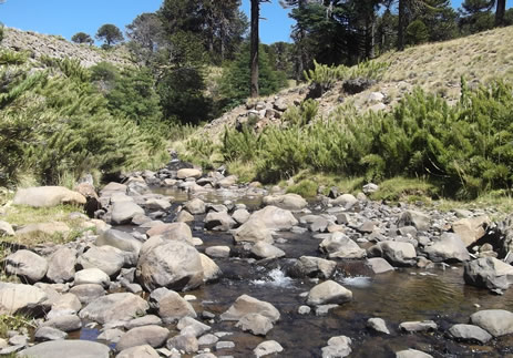 Cabaña Las Cascadas Caviahue verano