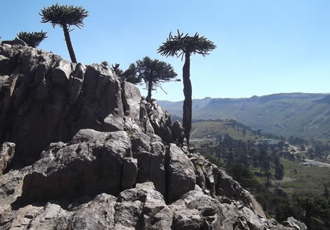 Cabaña Las Cascadas Caviahue verano